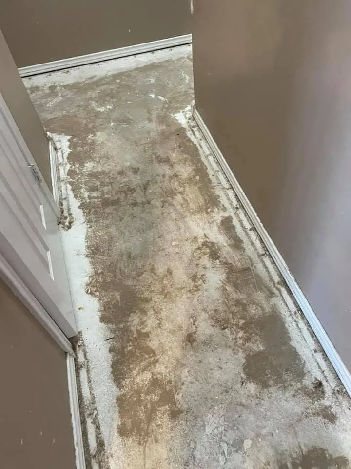 Hallway subfloor cleared back to bare concrete before new flooring